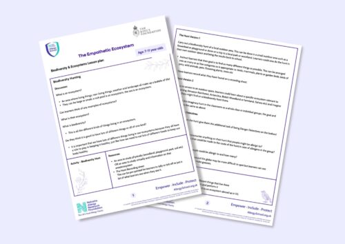 Welcome To Narf Allergy School Teaching Children About Food Allergies